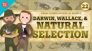 Darwin and Natural Selection Crash Course History of Science 22 [upl. by Enyrhtak]