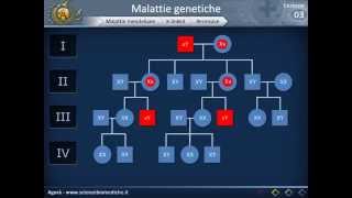 Genetica 03  Malattie genetiche e genetica di popolazione [upl. by Solana]