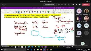 TD 4 BIOLOGIE MOLECULAIRE [upl. by Tedra]