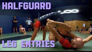 Half Guard Leg Entries [upl. by Kenyon]