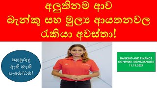 Latest Banking amp Finance Job Vacancies in Sri Lanka  Opportunities for Freshers amp Experienced 2024 [upl. by Basset]