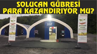 Solucan Gübresi Üretimi Baştan Sona Videolu Anlatım Mutlaka İzleyin [upl. by Nuris]