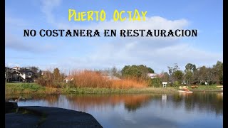 Puerto octay 🇨🇱 Región de Los Lagos [upl. by Lrub]