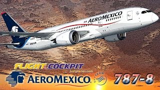 AEROMEXICO Cockpit BOEING 787 Dreamliner [upl. by Kieffer]