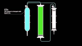 From Soil to Oil An Overview of Cannabis Oil Extraction Using CO2 [upl. by Niala624]