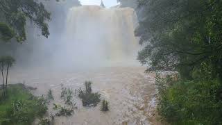 Whangarei Falls during a tropical cyclone Filmed in Whangarei New Zealand in 4k 60fps 27012023 [upl. by Nahtanha]