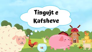 Këngë për fëmijë │ Tingujt e Kafshëve │ Babagjyshi [upl. by Rednave]