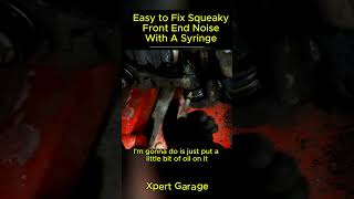 Easy to Fix Squeaky Front End Noise With A Syringeautomotive mechaniclife autoexpert XpertGarage [upl. by Talanta]