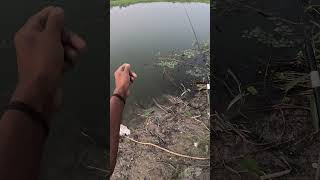 Mini rod fishing videospocket rod fishinghook fishing [upl. by Rodolph]