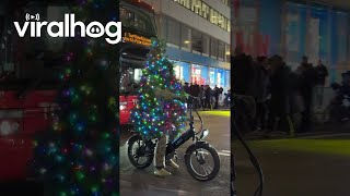 Christmas Tree Rides Bicycle In Manhattan  ViralHog [upl. by Smallman]