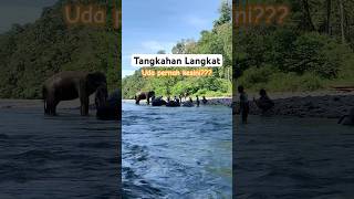 Tangkahan Langkat destinasi wisata terbaik di Langkat Sumatera Utara [upl. by Colver]