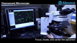 Fluorescent Microscope [upl. by Attey582]