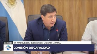 COMISIÓN COMPLETA DISCAPACIDAD  12 de noviembre de 2024  TEMAS VARIOS  Diputados Argentina [upl. by Ytsanyd]