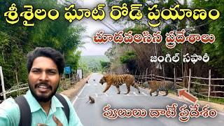 45km నల్లమల ఘాట్ రోడ్ లో నా ప్రయాణంDornala To Srisailam Ghat Road 45km [upl. by Sokul]