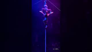 Aerial Duo Dance  Pole and Gymnastics Dance aerialdance poledance show performance [upl. by Vedette]