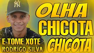 RODRIGO SILVA E TOME XOTE CHICOTA CHICOTA 2023 [upl. by Ydnik]