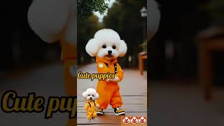 🤡🧡cute cute puppies dance🤣🥰 shortsdogpuppypuppiesdancecute viralshort viralshortsfeed [upl. by Doreen]