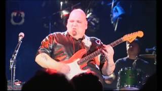 Popa Chubby  I Cant See the Light of Day Live [upl. by Annorah197]