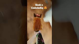 Skoki z Czekoladką 💜 hobbyhorse [upl. by Elyn]