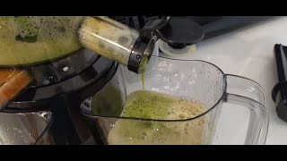 Aeitto Slow Masticating Juicer Machine Review amp How To Use [upl. by Oivlis]