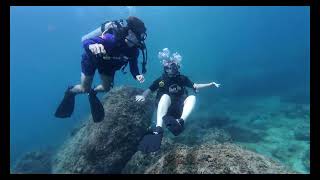 Diving Koh Lipe 2024 [upl. by Vyse]