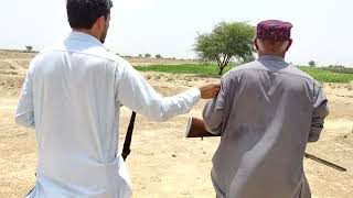 Dove shooting ka lahe chacha Mir Ahmed or Czn Khalil B Sath ha reels viralvideo birds video [upl. by Ariet]