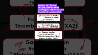 Describe the functions of cyclooxygenase1 COX1 in the formation of prostaglandins [upl. by Liddle]