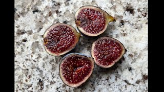 Calderona De La Roca Black Manzanita and CdD Gegantina  A refreshing HONEST toptier fig review [upl. by Persian]