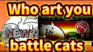 【battlecats】【にゃんこ大戦争】ぶんぶん先生 [upl. by Halda]