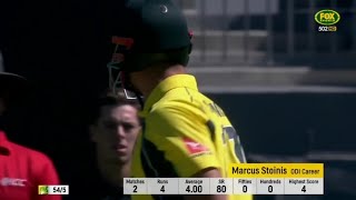 Marcus Stoinis 146117 vs New Zealand Highlights 2017  Lone warrior innings [upl. by Ahse]