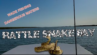 WADE FISHING near RATTLE SNAKES for BIG FISH TEXAS FAMOUS WATER [upl. by Nae974]