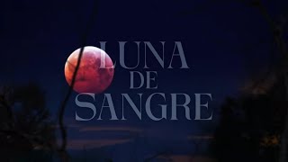 Mägo de Oz  Luna de sangre Lyric Video Oficial [upl. by Wellington]