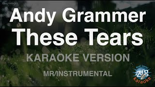 Andy GrammerThese Tears MRInstrumental Karaoke Version [upl. by Pamella]