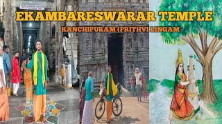 3500 YEAR 0LD MANGO TREE EKAMBARESWARAR TEMPLE PRITHVI LINGAM TEMPLE [upl. by Gnel]