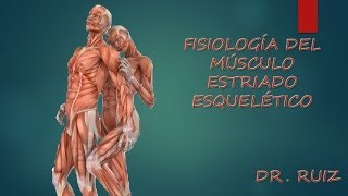 Fisiología del Musculo Estriado Esqueletico [upl. by Neira]