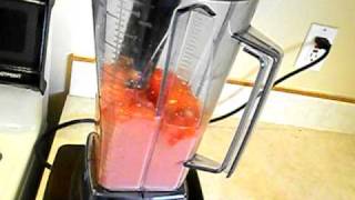 How to make sorbet in the Vitamix [upl. by Henrie]