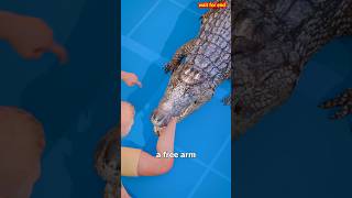 How To Escape An Alligator Death Roll 😨shorts [upl. by Denoting]