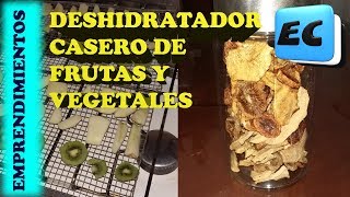 Deshidratador de frutas casero Emprendimiento rentable con baja inversion [upl. by Ledif]