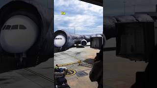 How is snow removed from airplanes [upl. by Jadd]