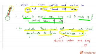 Assertion Funaria archegonium has maximum concentration of sucrose at the tip of neck Reason [upl. by Aurelia]