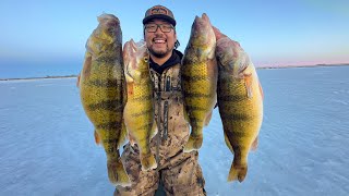 Ice Fishing for JUMBO Perch CATCH CLEAN COOK Garmin Livescope Footage [upl. by Yenroc]