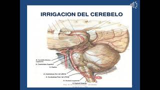 Semiología del síndrome cerebeloso [upl. by Enelyar285]