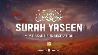 Worlds best recitation of Surah Yaseen  سورة يس ⋮ Healing Quran ⋮ Zikrullah TV [upl. by Franck744]