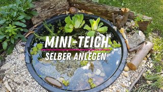 ☯ MiniTeich selber anlegen ☯ [upl. by Homovec324]