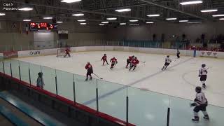 Fredericton U15 AAA Caps Live Stream [upl. by Kcirredal97]