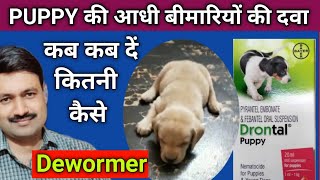 Drontal Puppy Wormer Suspension how to use  Best Deworming Syrup for puppy [upl. by Sathrum872]