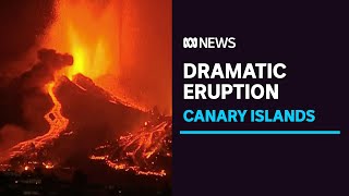 Volcano erupts in the Spanish Canary Islands forcing evacuation of thousands  ABC News [upl. by Gayleen]