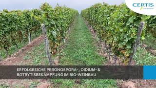 Erfolgreiche Peronospora Oidium und Botrytisbekämpfung im BioWeinbau [upl. by Lael848]