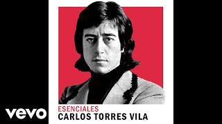 Carlos Torres Vila  La Lopez Pereyra Official Audio [upl. by Idissac]