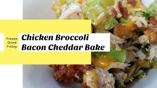 Chicken Broccoli Bacon Cheddar Bake SuttonsDaze [upl. by Eniretak]